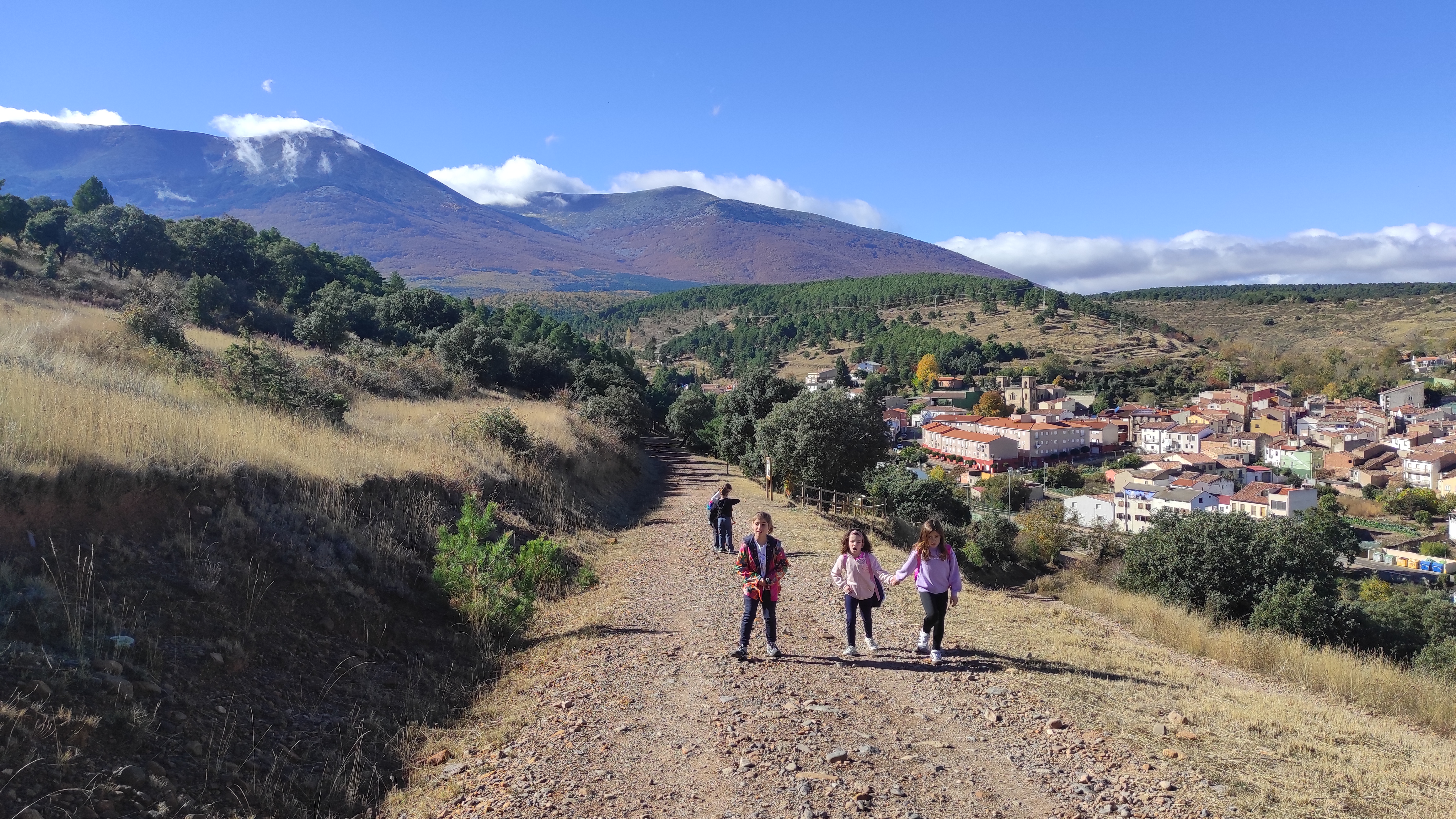 Copia de IMG_20251030_114835.jpg